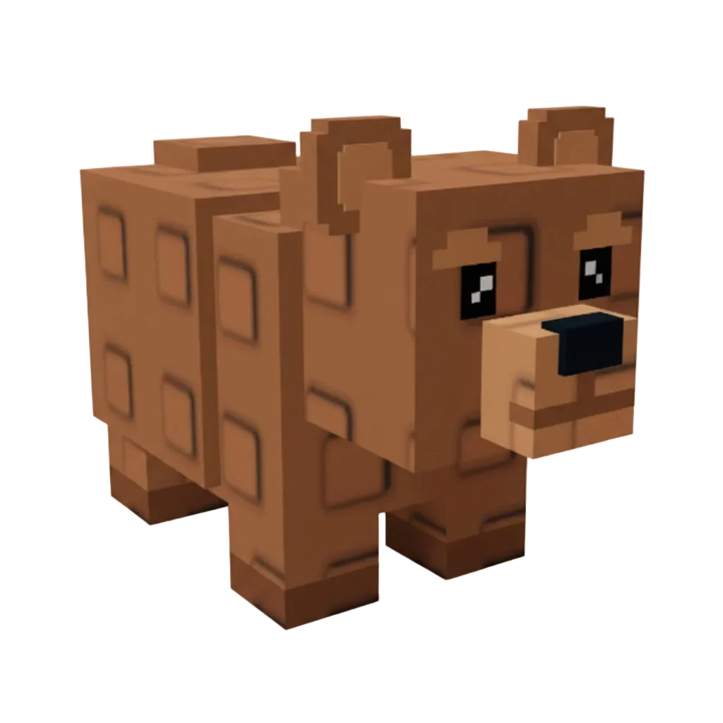Bear